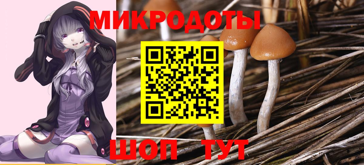 Псилоцибиновые грибы Psilocybine cubensis Россошь
